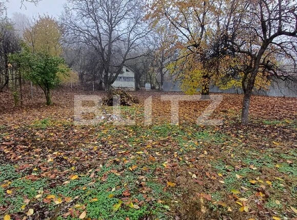 Casa de vânzare 4 camere Nord - 131306CV | BLITZ Bistriţa | Poza11