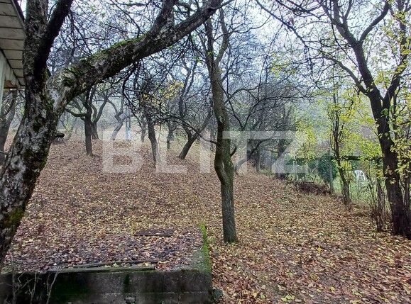 Casa de vânzare 4 camere Nord - 131306CV | BLITZ Bistriţa | Poza12