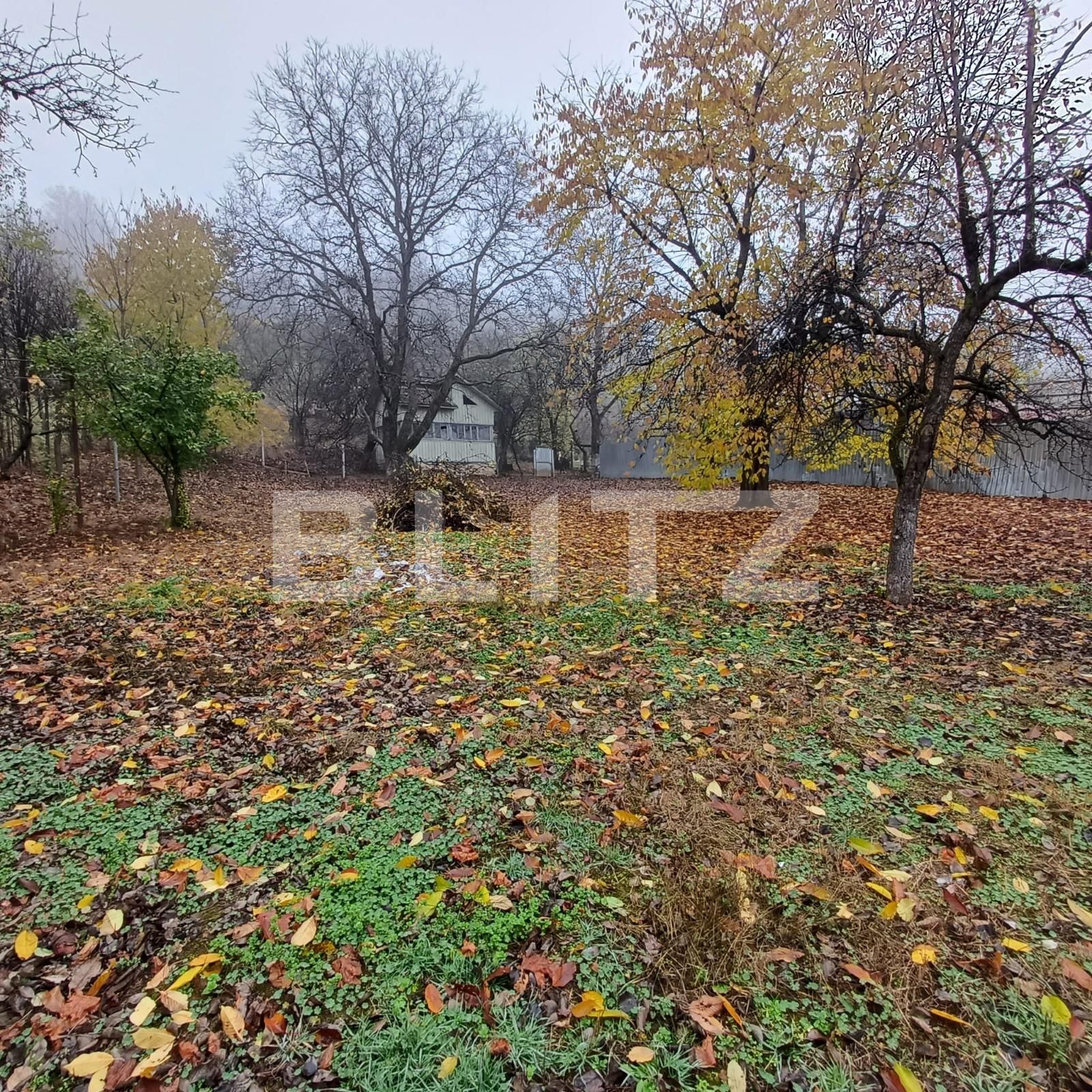 Casa de vânzare 4 camere Nord - 131306CV | BLITZ Bistriţa | Poza11