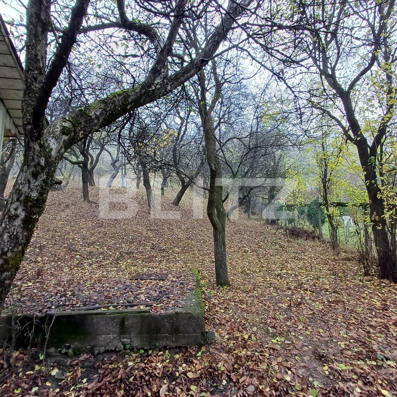 Casa de vânzare 4 camere Nord - 131306CV | BLITZ Bistriţa | Poza12