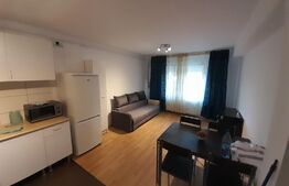 Apartament 2 camere,  Zona Han