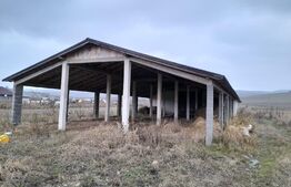 Casa individuala,180mp, 5000 mp teren plus Hala 550mp.CEPARI