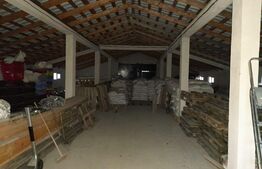 Casa individuala,180mp, 5000 mp teren plus Hala 550mp.CEPARI