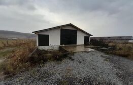 Casa individuala,180mp, 5000 mp teren plus Hala 550mp.CEPARI