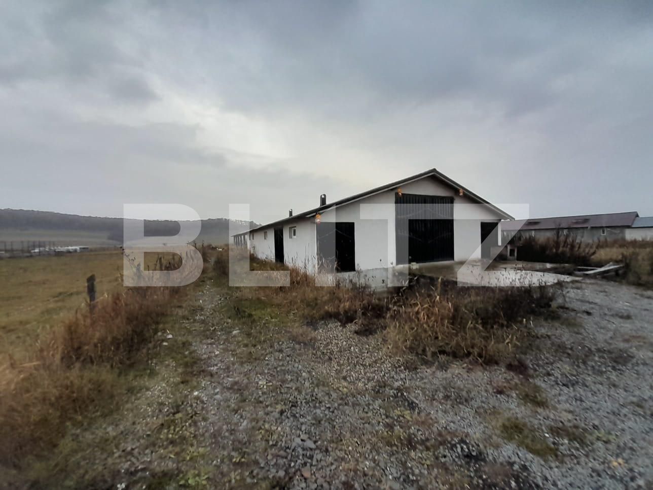 Casa de vânzare 4 camere Exterior Nord - 131653CV | BLITZ Bistriţa | Poza12