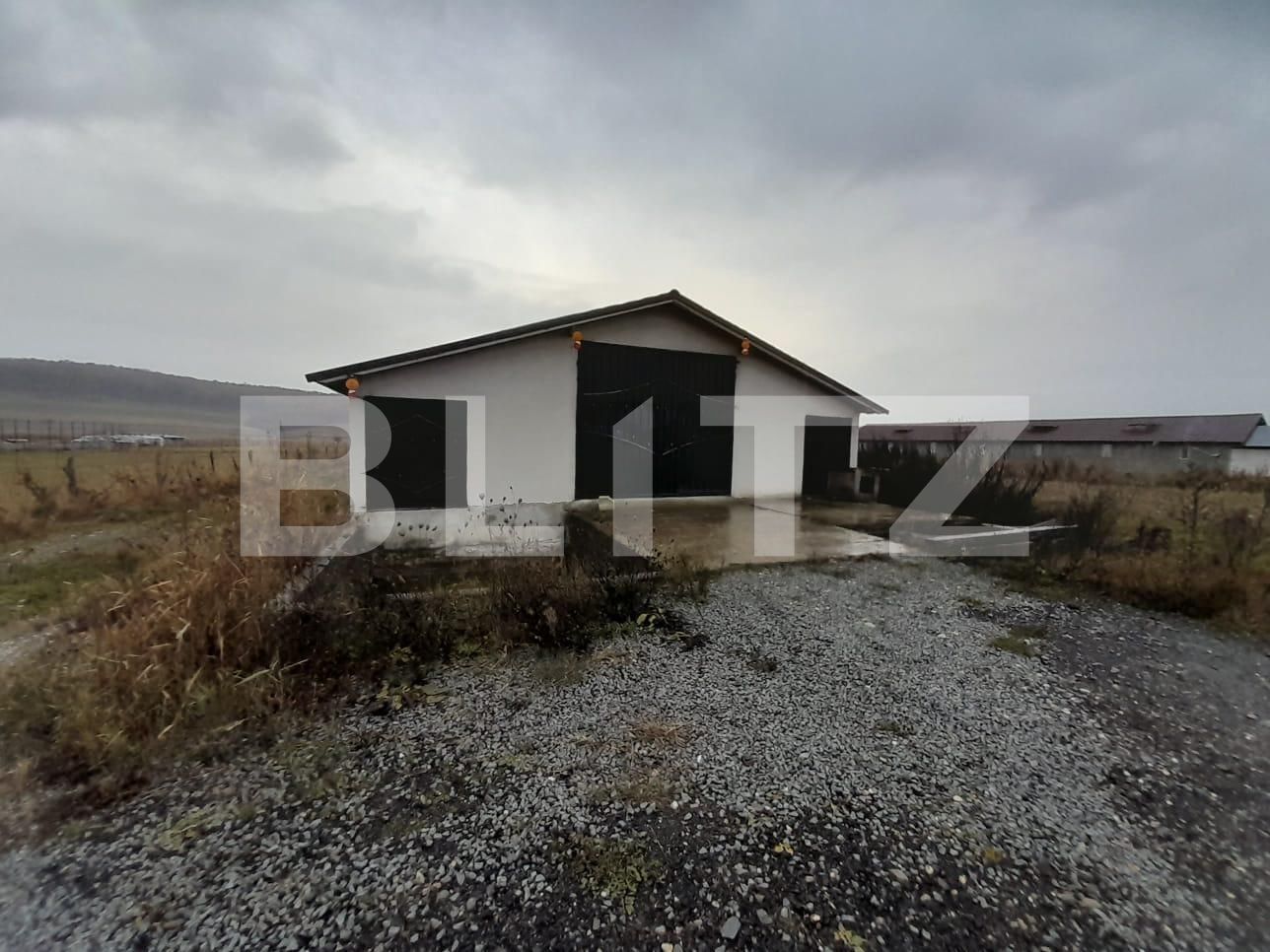 Casa de vânzare 4 camere Exterior Nord - 131653CV | BLITZ Bistriţa | Poza10