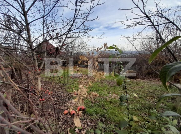 Casa de vânzare 4 camere Sigmir - 132049CV | BLITZ Bistriţa | Poza19