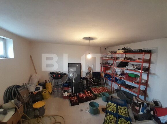 Casa de vânzare 4 camere Sigmir - 132049CV | BLITZ Bistriţa | Poza16