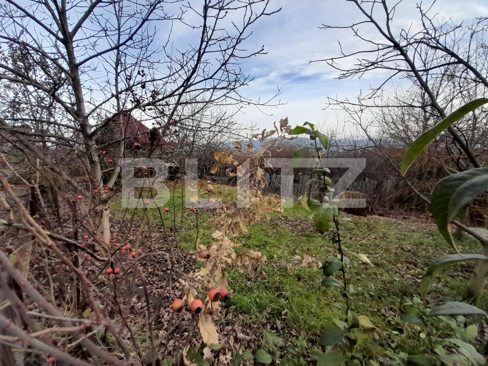 Casa de vânzare 4 camere Sigmir - 132049CV | BLITZ Bistriţa | Poza19