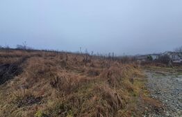 Teren intravilan, 30 de ari, Sigmir