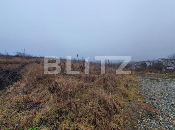 Teren de vânzare Sigmir - 132207TV | BLITZ Bistriţa | Poza2