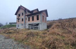 Casa la rosu si 8 ari de teren, Sigmir