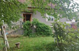 Casa pitoreasca în Viile Tecii cu o grădina de 26 de arii 