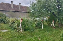 Casa pitoreasca în Viile Tecii cu o grădina de 26 de arii 