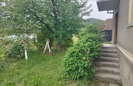 Casa pitoreasca în Viile Tecii cu o grădina de 26 de arii 
