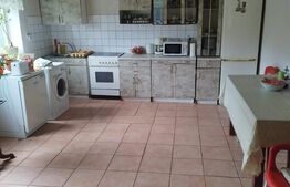 Casa pitoreasca în Viile Tecii cu o grădina de 26 de arii 