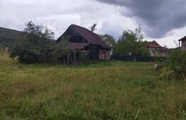 Casa pitoreasca în Viile Tecii cu o grădina de 26 de arii 