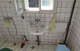 Casa pitoreasca în Viile Tecii cu o grădina de 26 de arii 