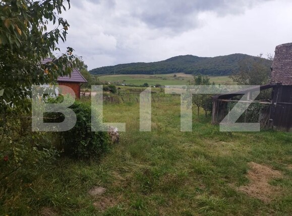 Casa de vânzare 2 camere Exterior Sud - 132284CV | BLITZ Bistriţa | Poza6