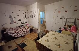 Garsonieră, 25 mp, decomandat, zona Valea Ghinzii