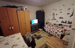 Garsonieră, 25 mp, decomandat, zona Valea Ghinzii