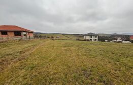 Teren Intravilan, 4000 mp, cartier Sigmir