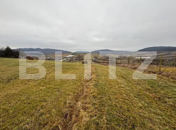 Teren de vânzare Sigmir - 132552TV | BLITZ Bistriţa | Poza2