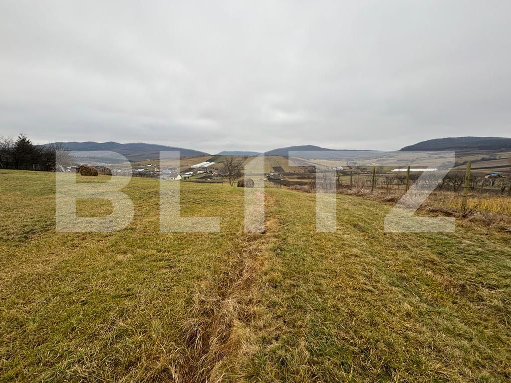 Teren de vânzare Sigmir - 132552TV | BLITZ Bistriţa | Poza2