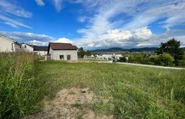 Teren Intravilan, 600 mp, zona Valea Rusului