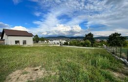 Teren Intravilan, 600 mp, zona Valea Rusului