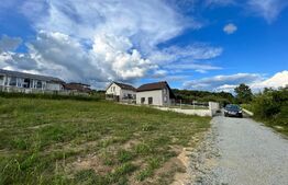 Teren Intravilan, 600 mp, zona Valea Rusului