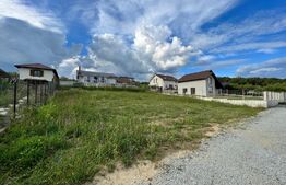 Teren Intravilan, 600 mp, zona Valea Rusului