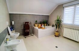 Casa individuala, 5 camere, 220mp utili, teren 13 ari, Unirea