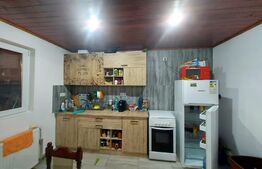 Casă 6 camere, 200mp, 4800mp teren, Galații Bistriței