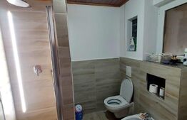 Casă 6 camere, 200mp, 4800mp teren, Galații Bistriței