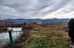 Casă 6 camere, 200mp, 4800mp teren, Galații Bistriței