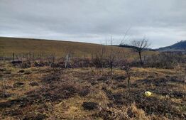 Casă 6 camere, 200mp, 4800mp teren, Galații Bistriței