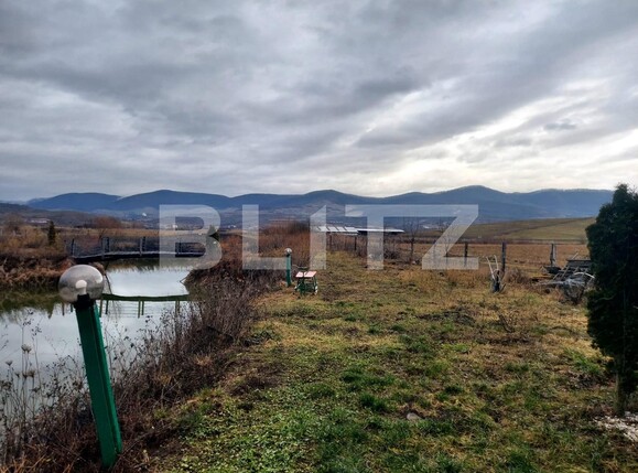 Casa de vânzare 6 camere Vest - 133087CV | BLITZ Bistriţa | Poza3