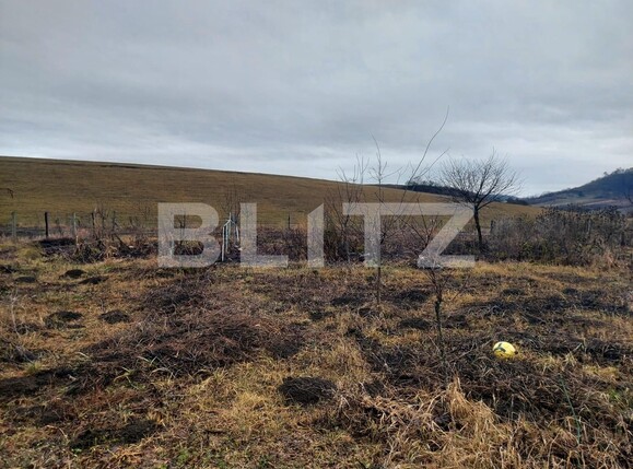 Casa de vânzare 6 camere Vest - 133087CV | BLITZ Bistriţa | Poza19