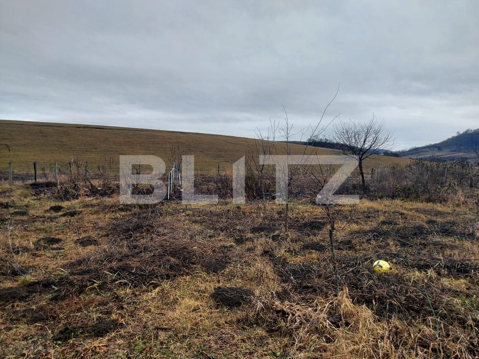 Casa de vânzare 6 camere Vest - 133087CV | BLITZ Bistriţa | Poza19