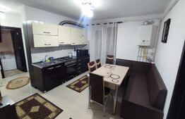 Apartament 2 camere, decomandat, mobilat, loc de parcare, zona str Dumitrei Vechi.