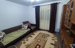 Apartament 2 camere, decomandat, mobilat, loc de parcare, zona str Dumitrei Vechi.
