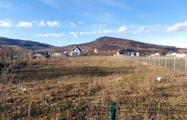 Blitz va propune spre vanzare teren intravilan de 27 ari in Viisoara