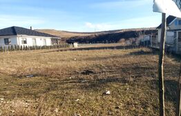 Blitz va propune spre vanzare teren intravilan de 27 ari in Viisoara