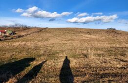 Teren extravilan, 33 de ari, zona Valea Stânelor