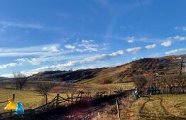 Teren extravilan, 33 de ari, zona Valea Stânelor