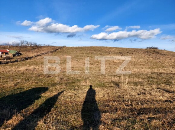 Teren de vânzare Sigmir - 133590TV | BLITZ Bistriţa | Poza2