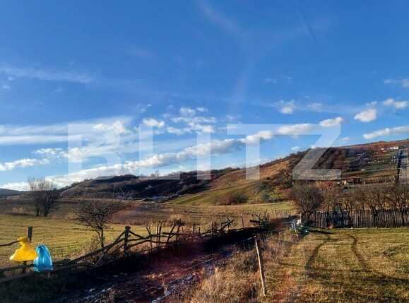 Teren de vânzare Sigmir - 133590TV | BLITZ Bistriţa | Poza3