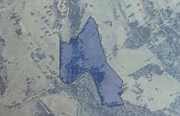 Teren Intravilan, 22178 mp, zona Castelul Dracula - Tihuta 