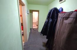 Apartament 2 camere, 56mp, decomandat, parter, zona Han